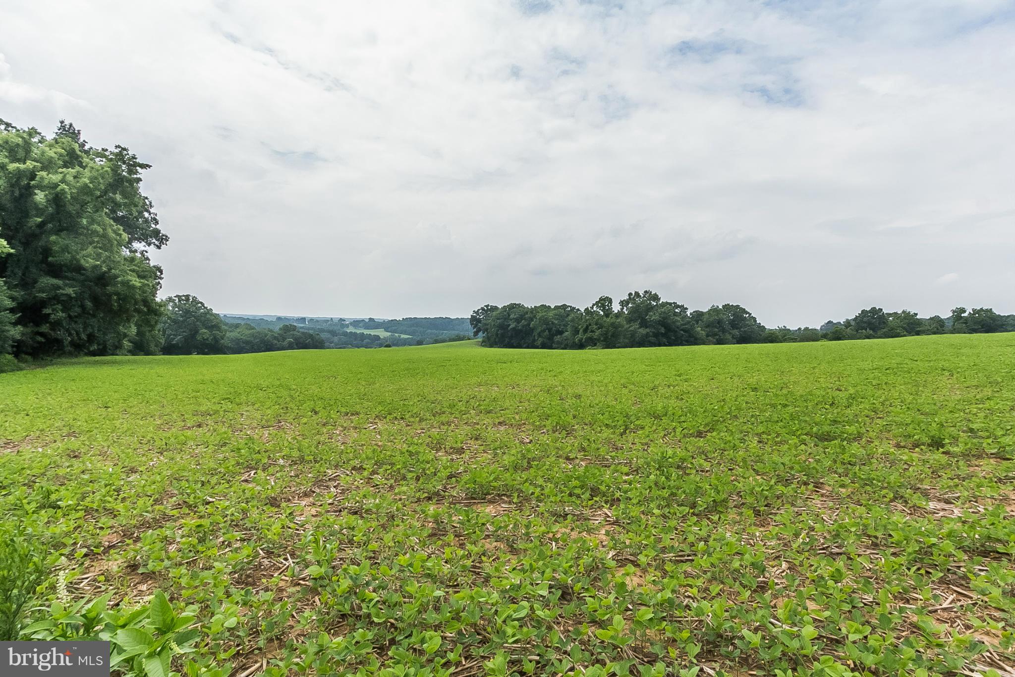 19300 Burke Road White Hall, MD 21161 - Photo 21 of 27 View