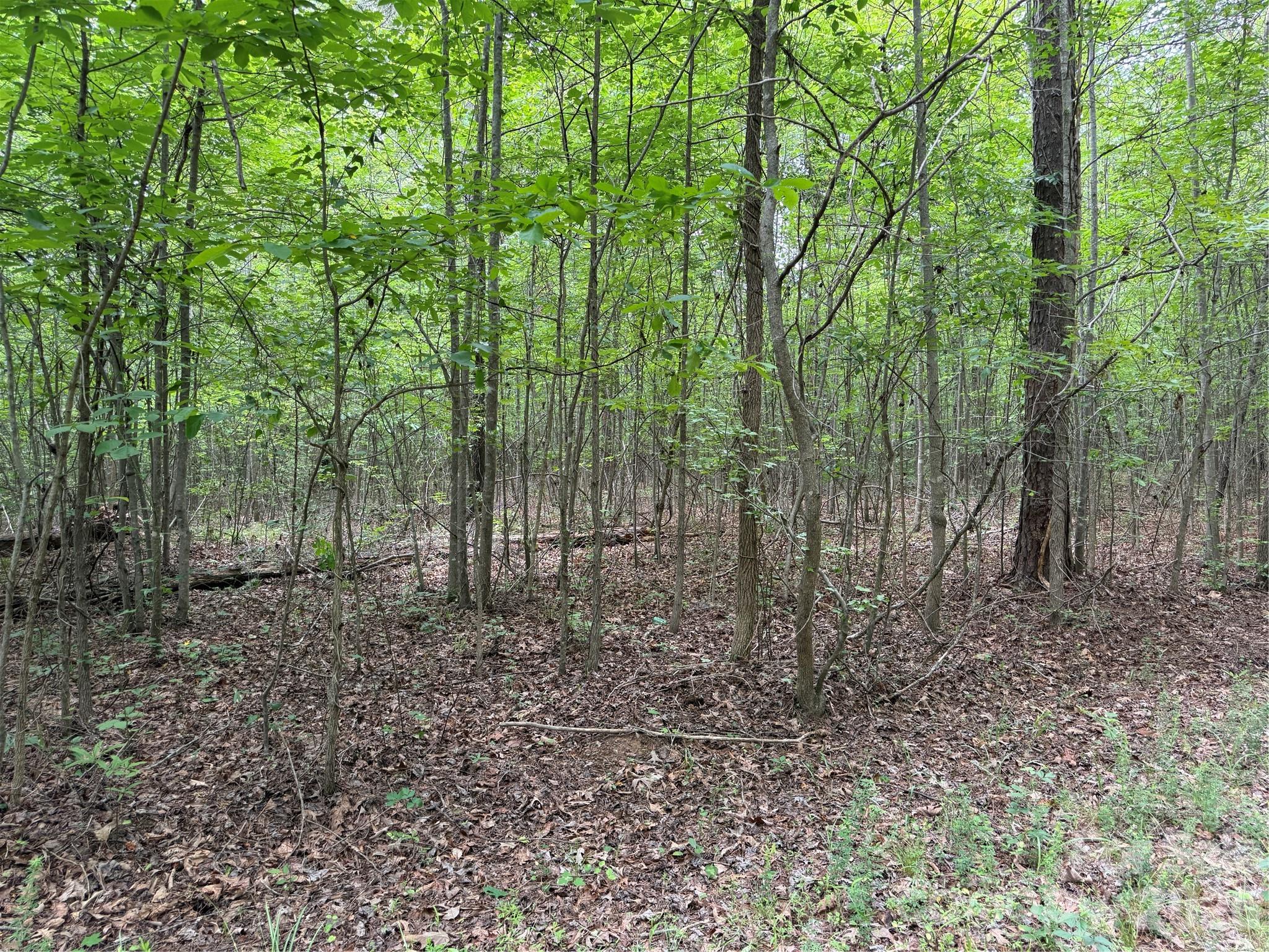 0 Herbert Faucette Road Bullock, NC 27507 - Photo 24 of 40