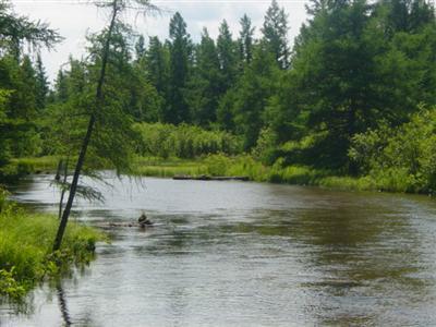 2535 North Manistee River Road Grayling, MI 49738 - Photo 5 of 5 Additional Photo