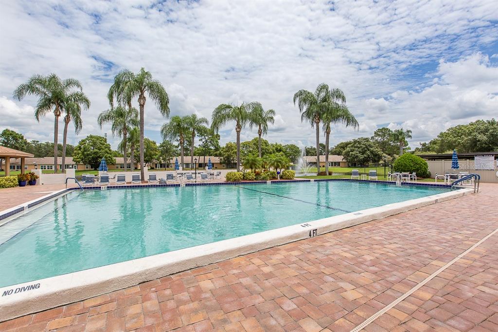 9058 Arundle Place New Port Richey, FL 34655 - Photo 41 of 59
