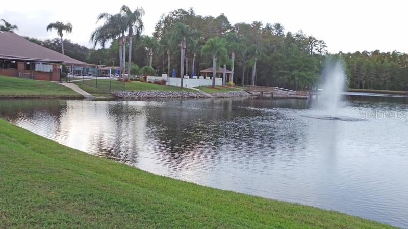 9058 Arundle Place New Port Richey, FL 34655 - Photo 44 of 59 a view of a lake with houses