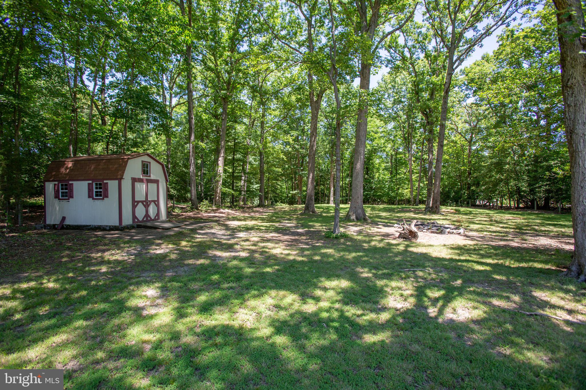 655 Courthouse Road Stafford, VA 22554 - Photo 39 of 47 Wooded area behind the house
