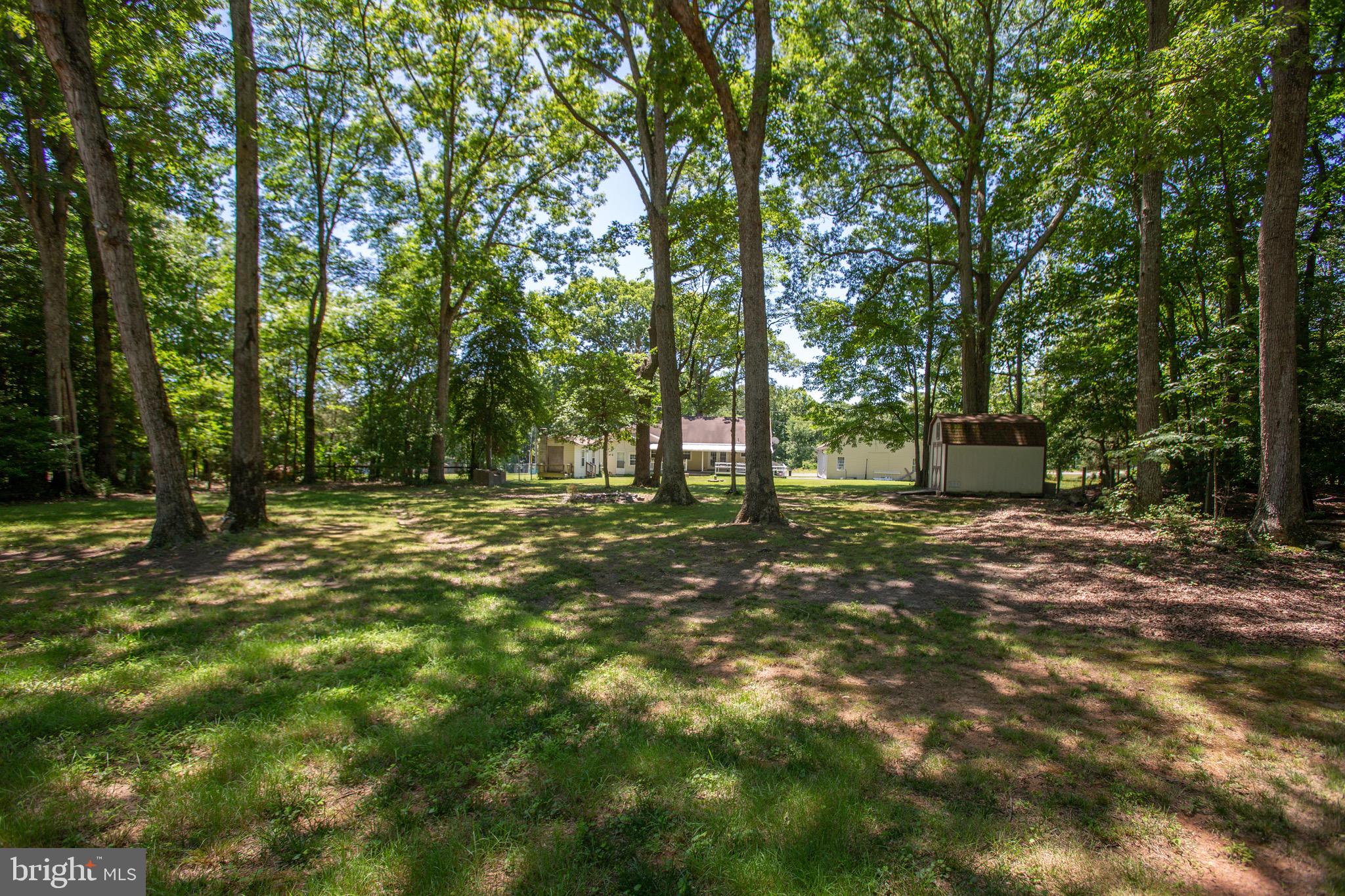 655 Courthouse Road Stafford, VA 22554 - Photo 41 of 47 Wooded area behind the house