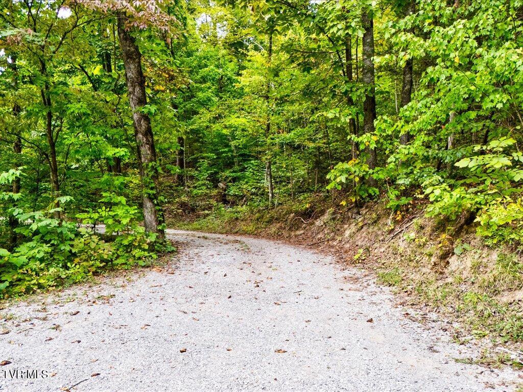 262 Mountain View Drive Rutledge, TN 37861 - Photo 30 of 42 262 Mountain View Dr - 30
