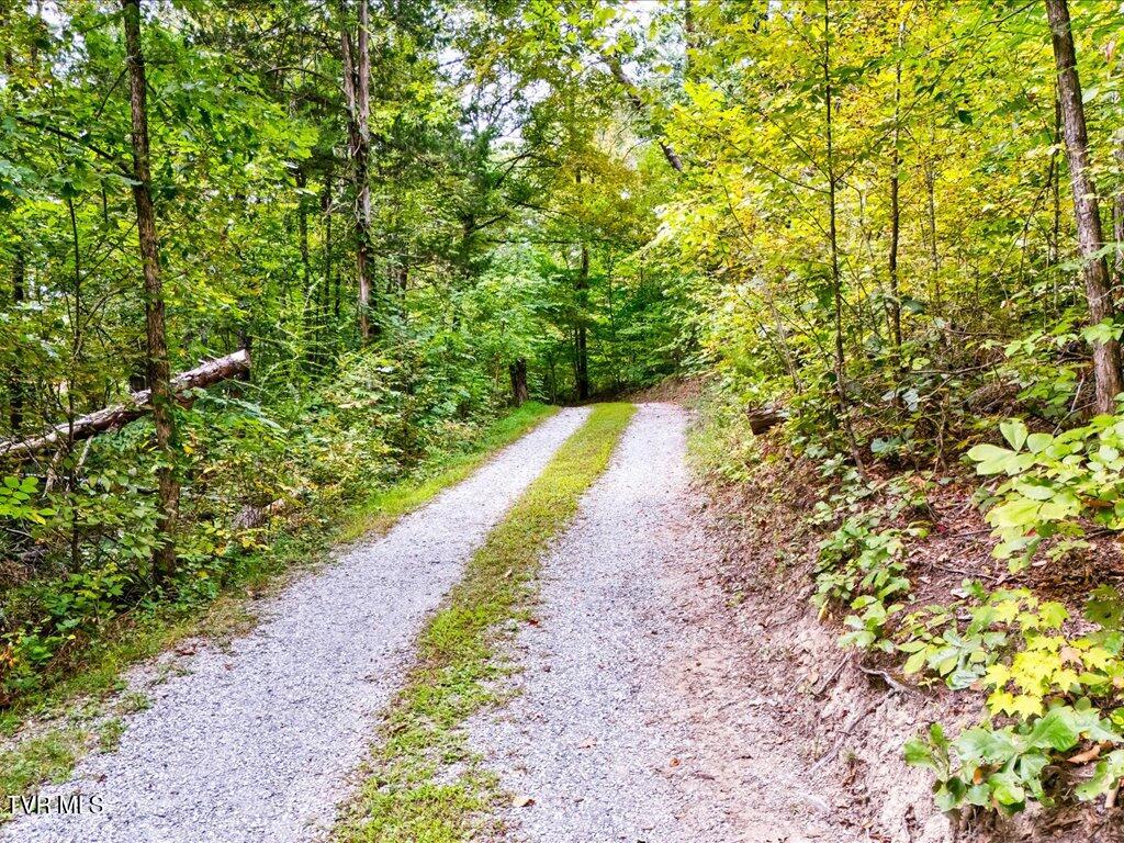 262 Mountain View Drive Rutledge, TN 37861 - Photo 31 of 42 262 Mountain View Dr - 31