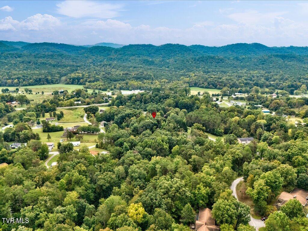 262 Mountain View Drive Rutledge, TN 37861 - Photo 36 of 42 262 Mountain View Dr - 36