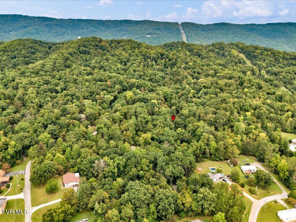 262 Mountain View Drive Rutledge, TN 37861 - Photo 40 of 42 262 Mountain View Dr - 40