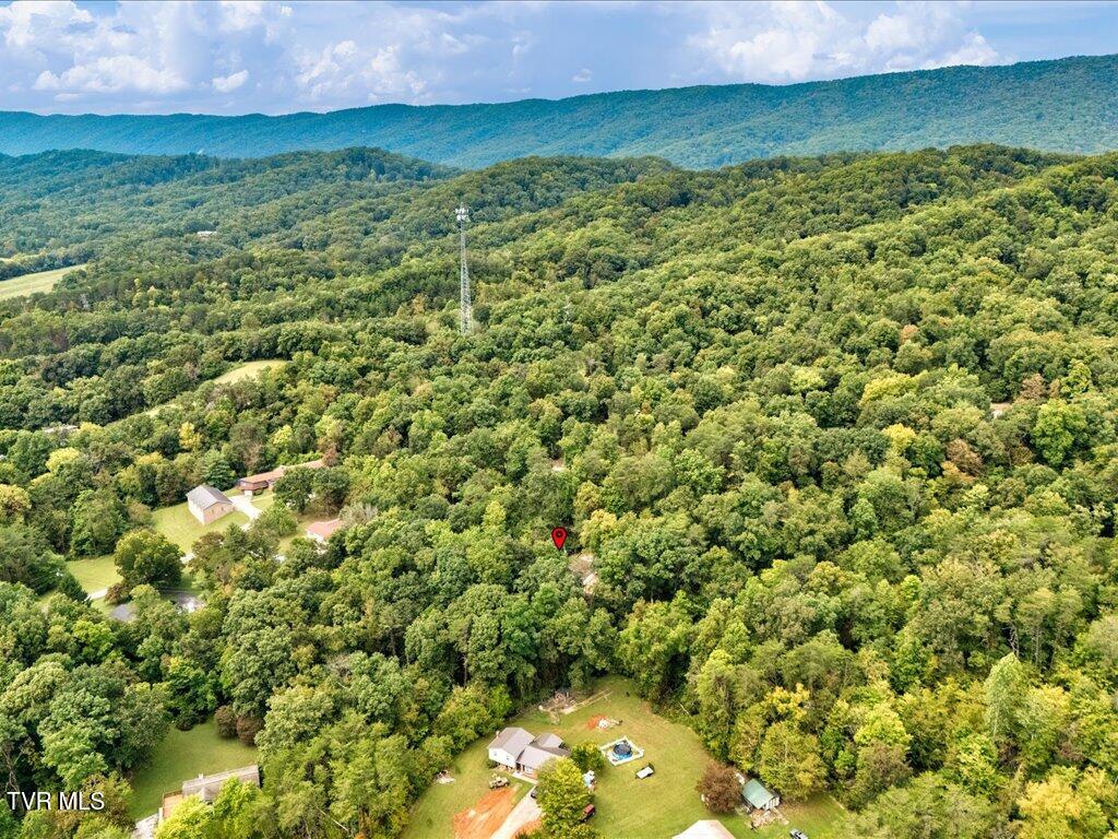262 Mountain View Drive Rutledge, TN 37861 - Photo 41 of 42 262 Mountain View Dr - 41