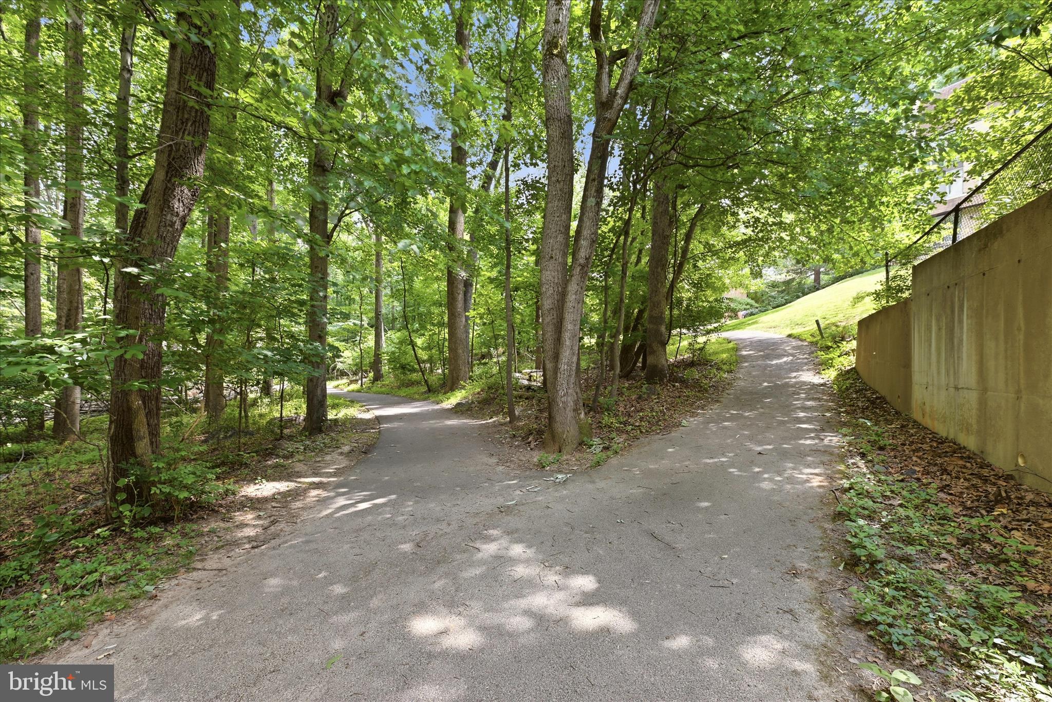 11533 Pine Cone Court Reston, VA 20191 - Photo 38 of 60 Pathway Near Home