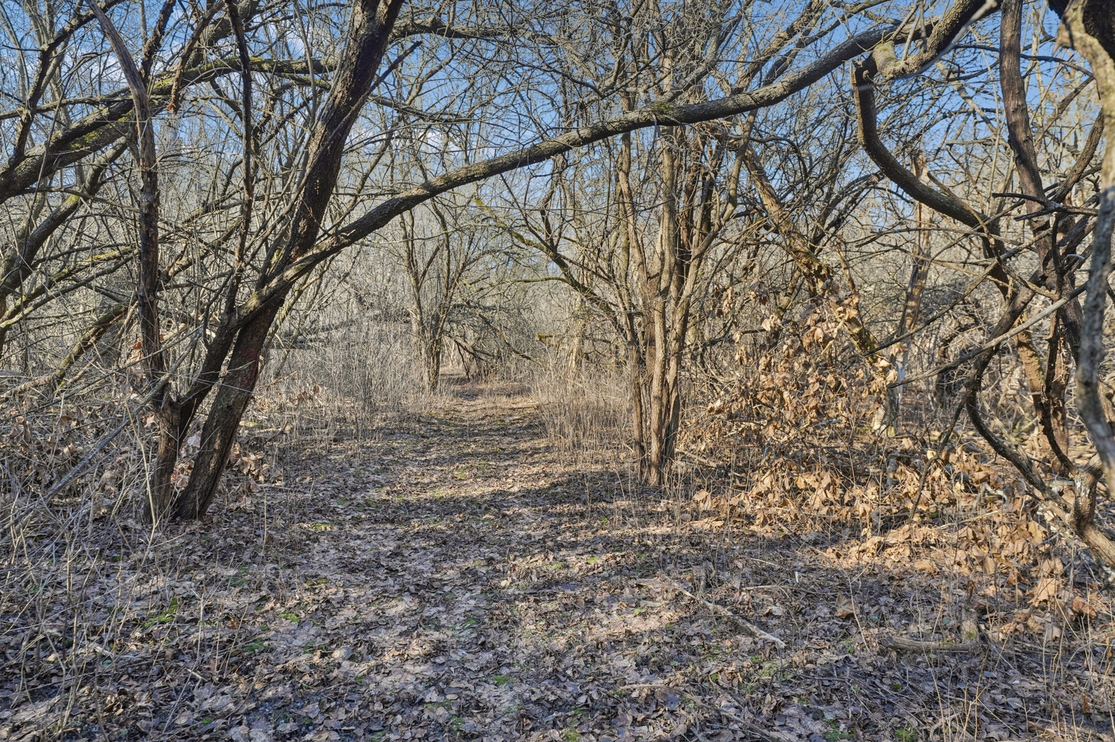 120 Old Barrington Road North Barrington, IL 60010 - Photo 28 of 31 a view of outdoor space