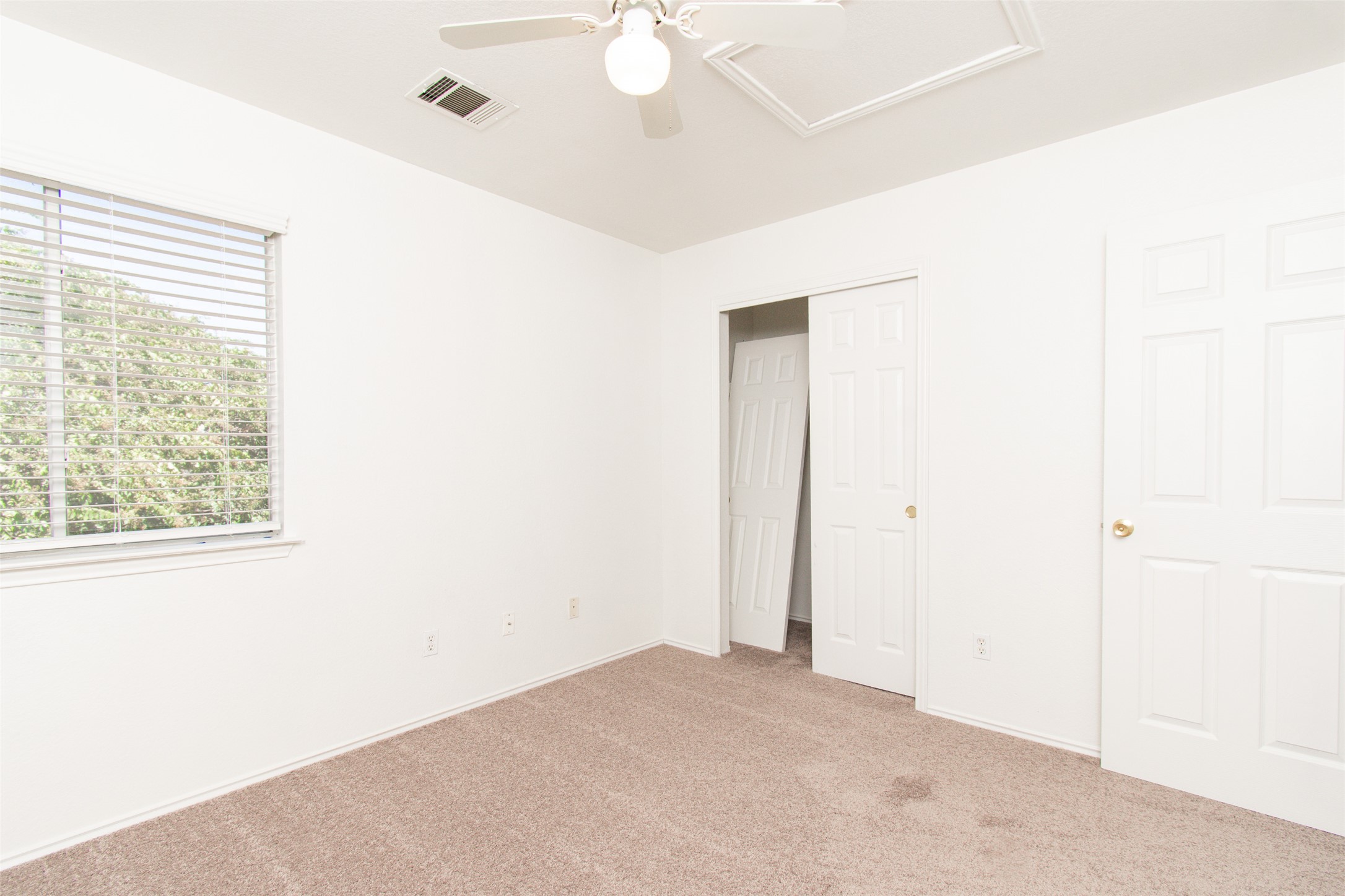 1436 Roxanne's Run Pflugerville, TX 78660 - Photo 22 of 24 Plush carpeting anchors this bright bedroom featuring clean white walls and a large window.