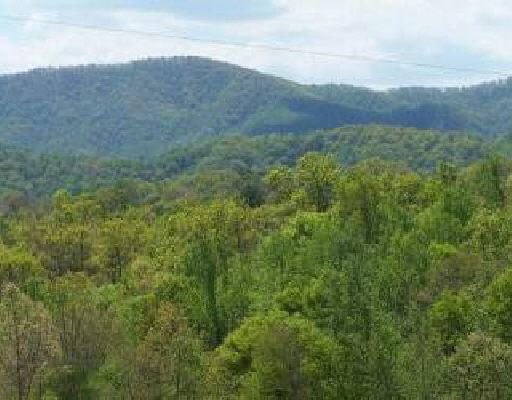0 Deer Path Trail Roanoke, VA 24014 - Photo 3 of 3 a view of mountain and grassy field