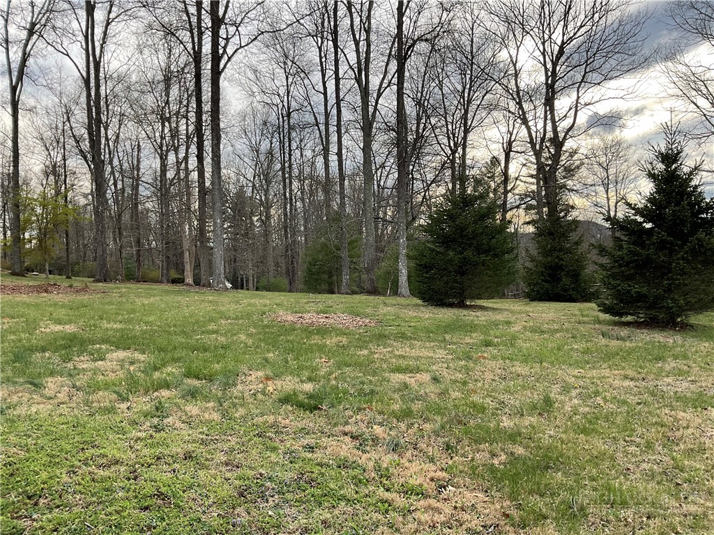 3162 Chestnut Grove Church Road Sparta, NC 28675 - Photo 41 of 45