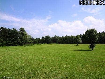 8766 Henderson Road Diamond, OH 44412 - Photo 25 of 25 Gallery Image 25
