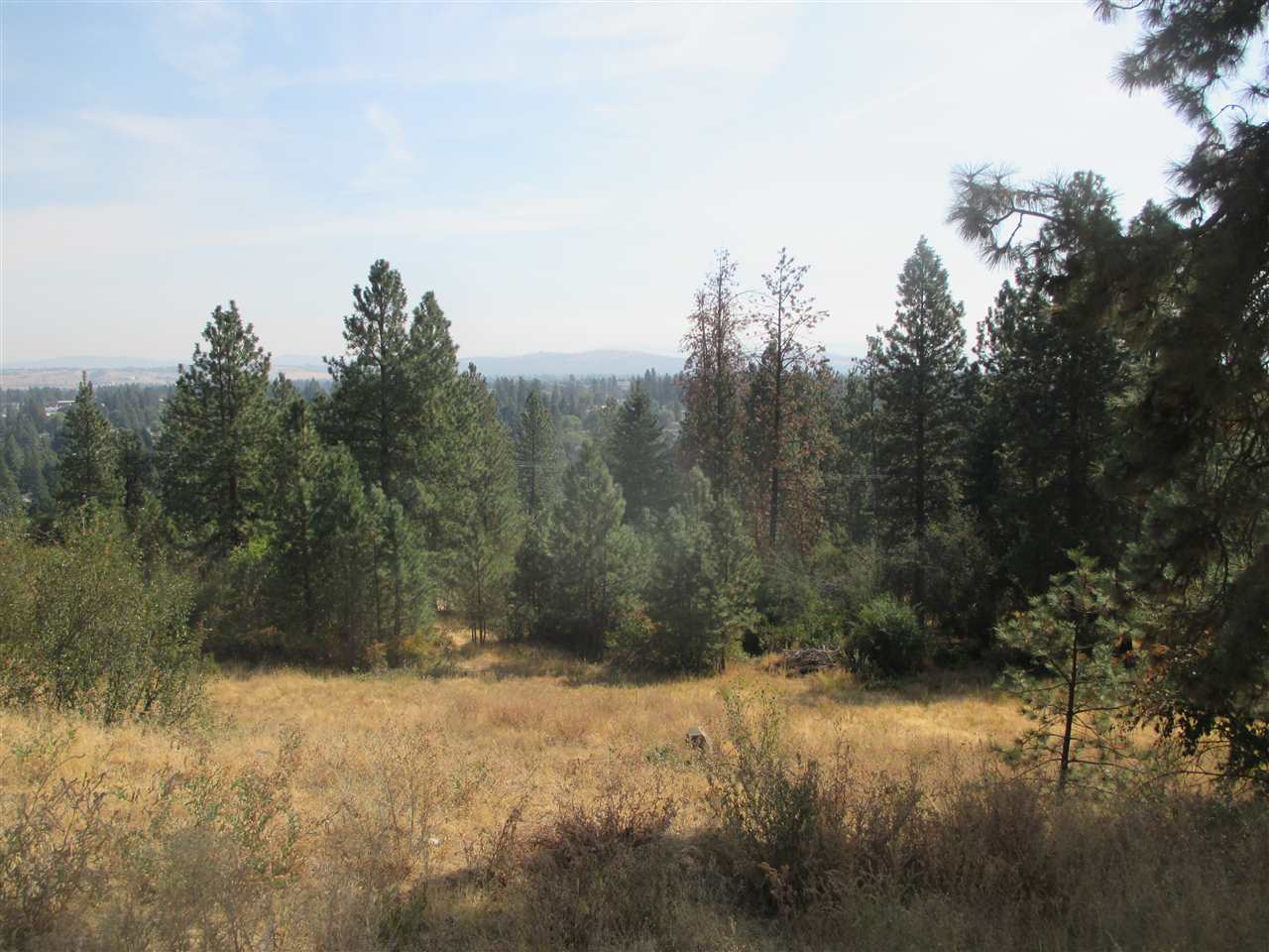 7726 North Cedar Road, Unit 7728 Spokane, WA 99208 - Photo 3 of 5 Gallery Image 3