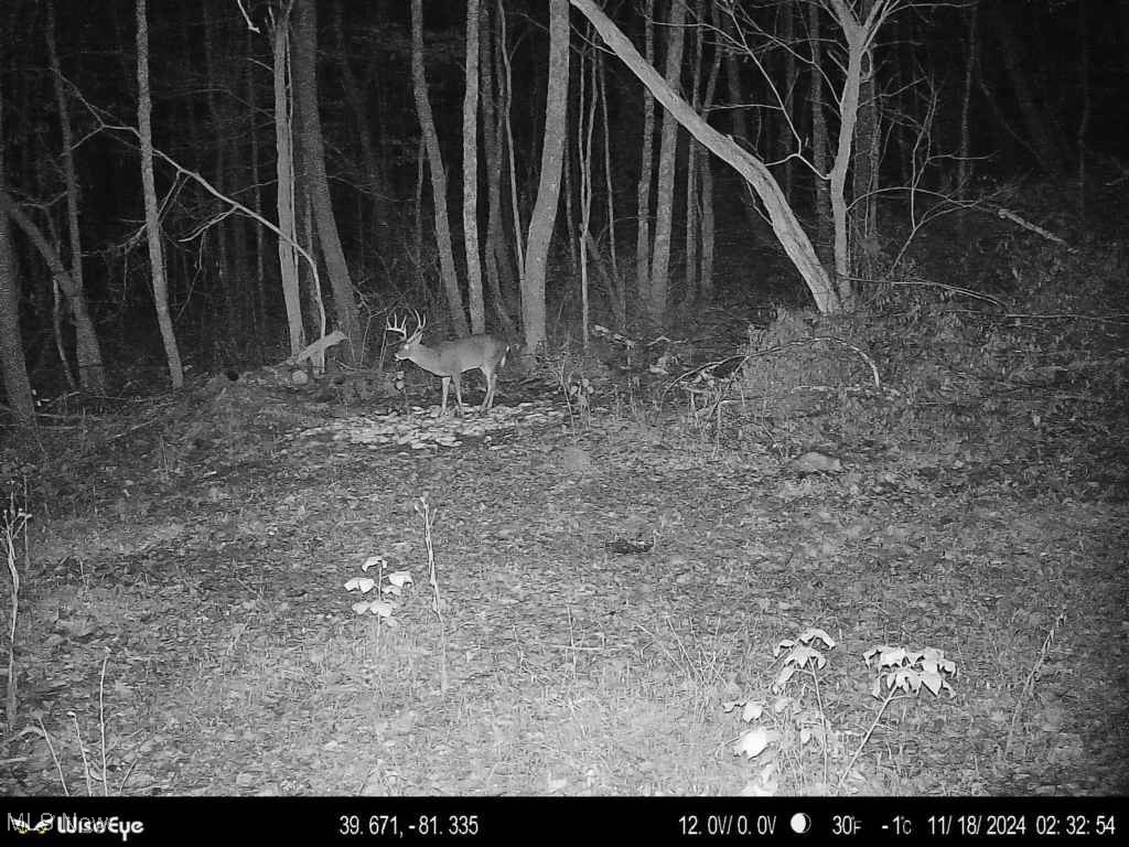 Hoot Owl Ridge Road Caldwell, OH 43724 - Photo 18 of 40 View of landscape