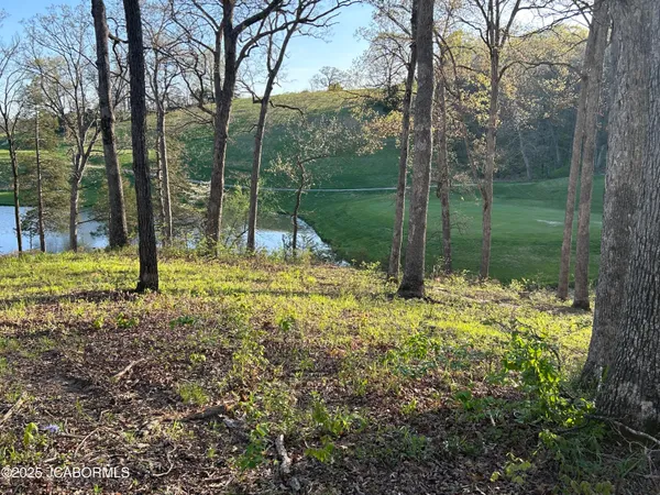 $48,000 | Lot 9 Birdie Hill Road, Holts Summit, MO 65043
