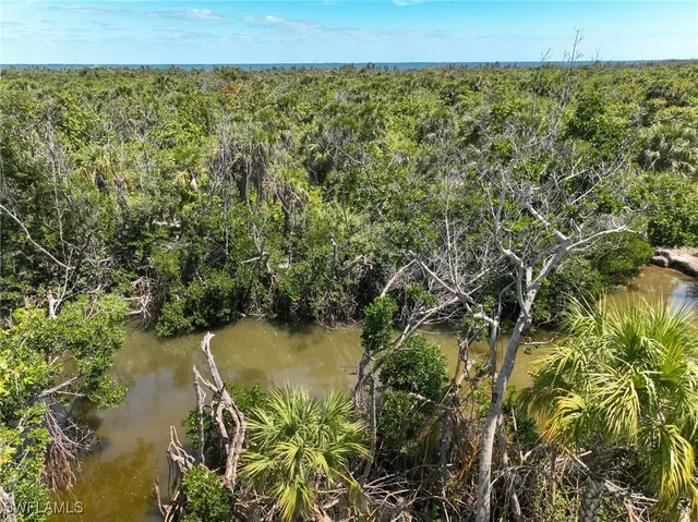 a view of a lake with a city