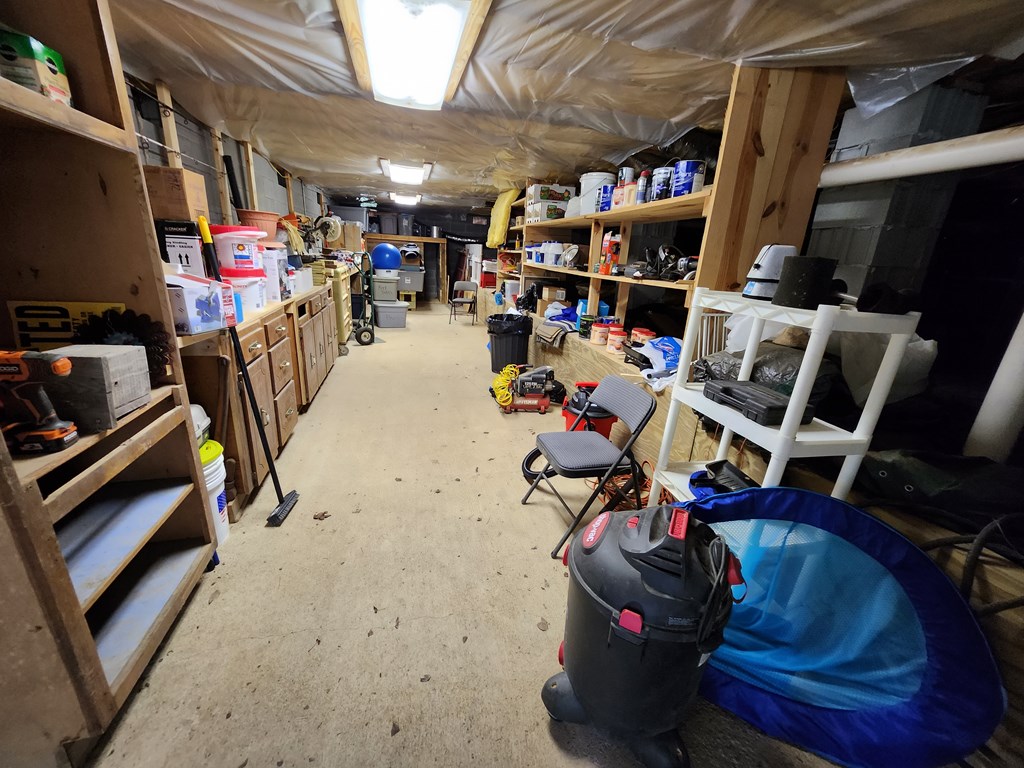 742 County Line Road Buena Vista, GA 31803 - Photo 27 of 74 Workshop under house