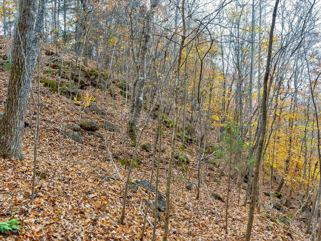 Lot 92 Ridgecrest Road, Unit 92 New Tazewell, TN 37825 - Photo 19 of 21 19
