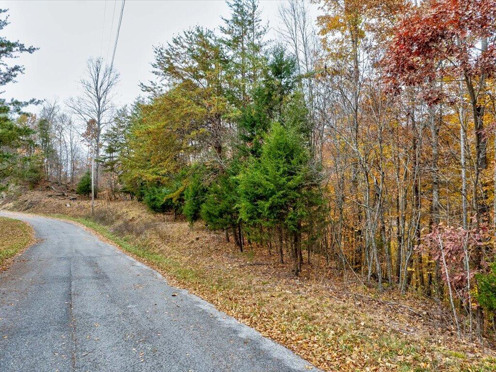 Lot 92 Ridgecrest Road, Unit 92 New Tazewell, TN 37825 - Photo 3 of 21 3