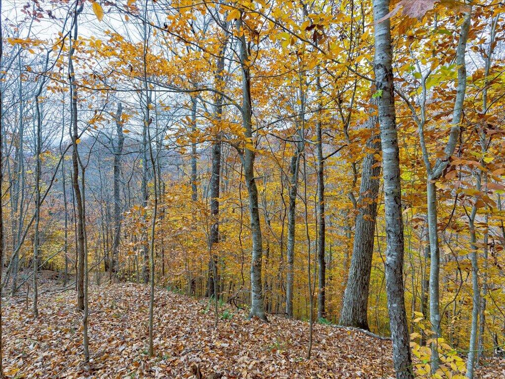Lot 92 Ridgecrest Road, Unit 92 New Tazewell, TN 37825 - Photo 8 of 21 8