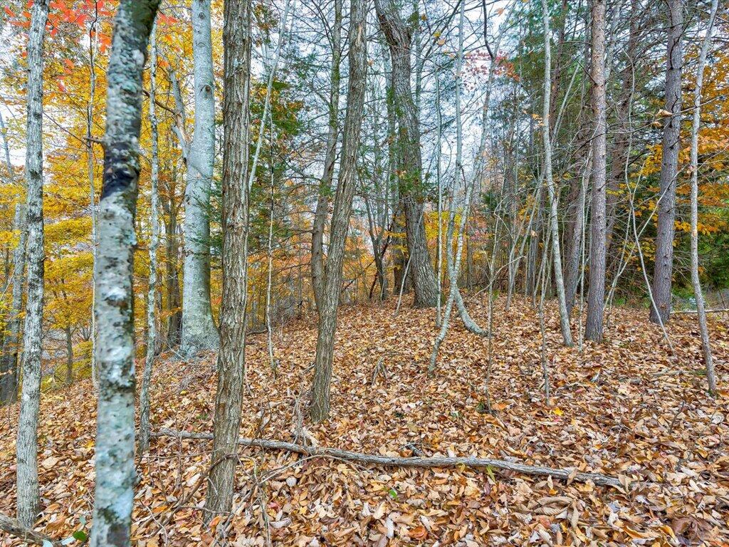 Lot 92 Ridgecrest Road, Unit 92 New Tazewell, TN 37825 - Photo 9 of 21 9