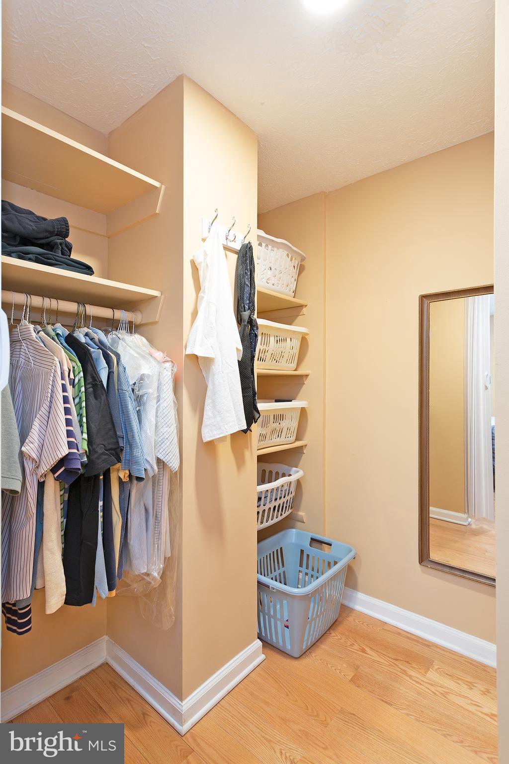 8333 Brookvale Court Springfield, VA 22153 - Photo 16 of 46 Closet