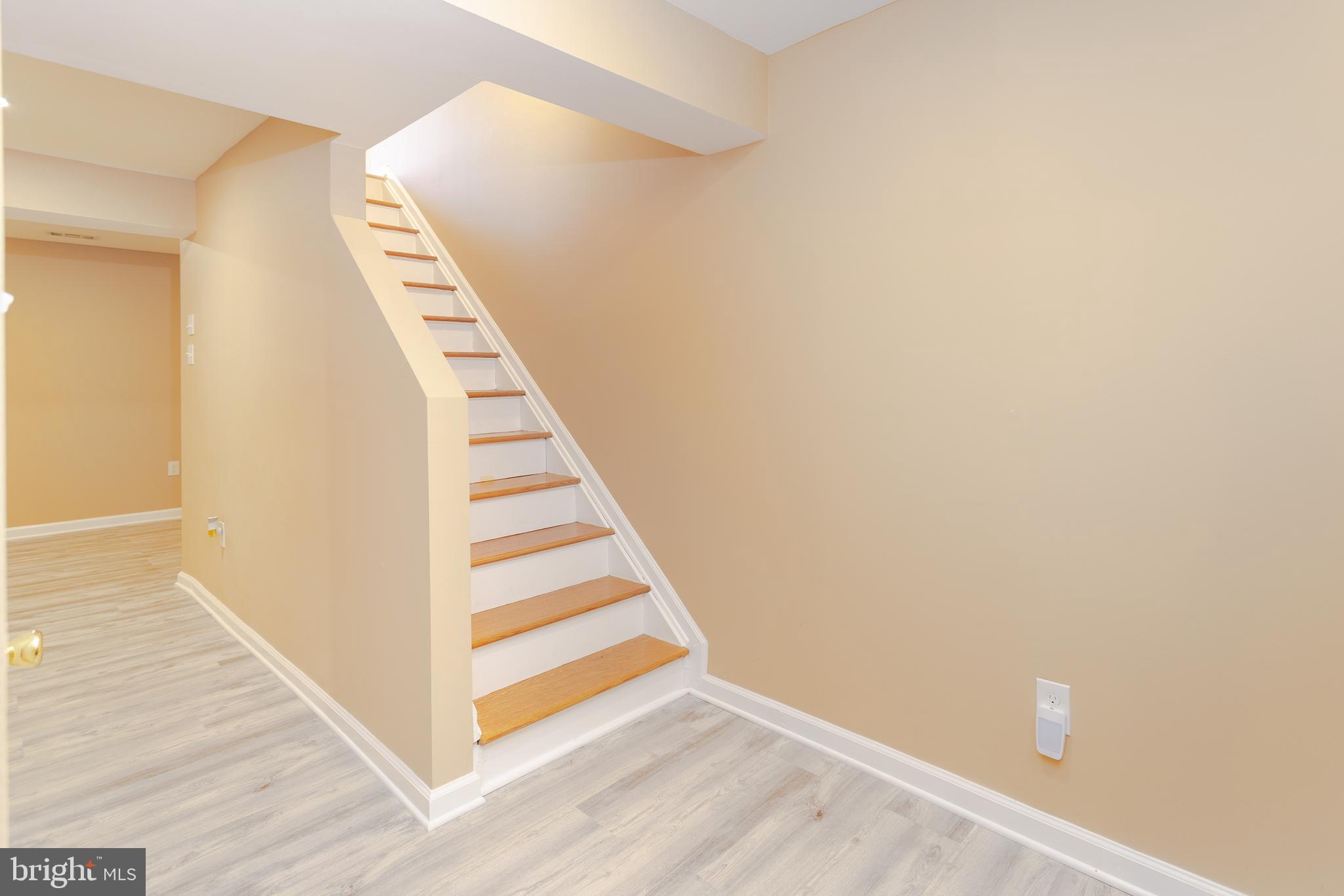 8333 Brookvale Court Springfield, VA 22153 - Photo 24 of 46 Stairs to Basement