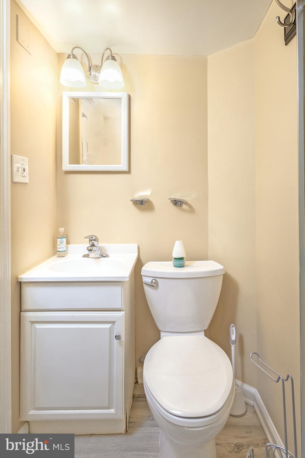 8333 Brookvale Court Springfield, VA 22153 - Photo 28 of 46 Basement Full Bath