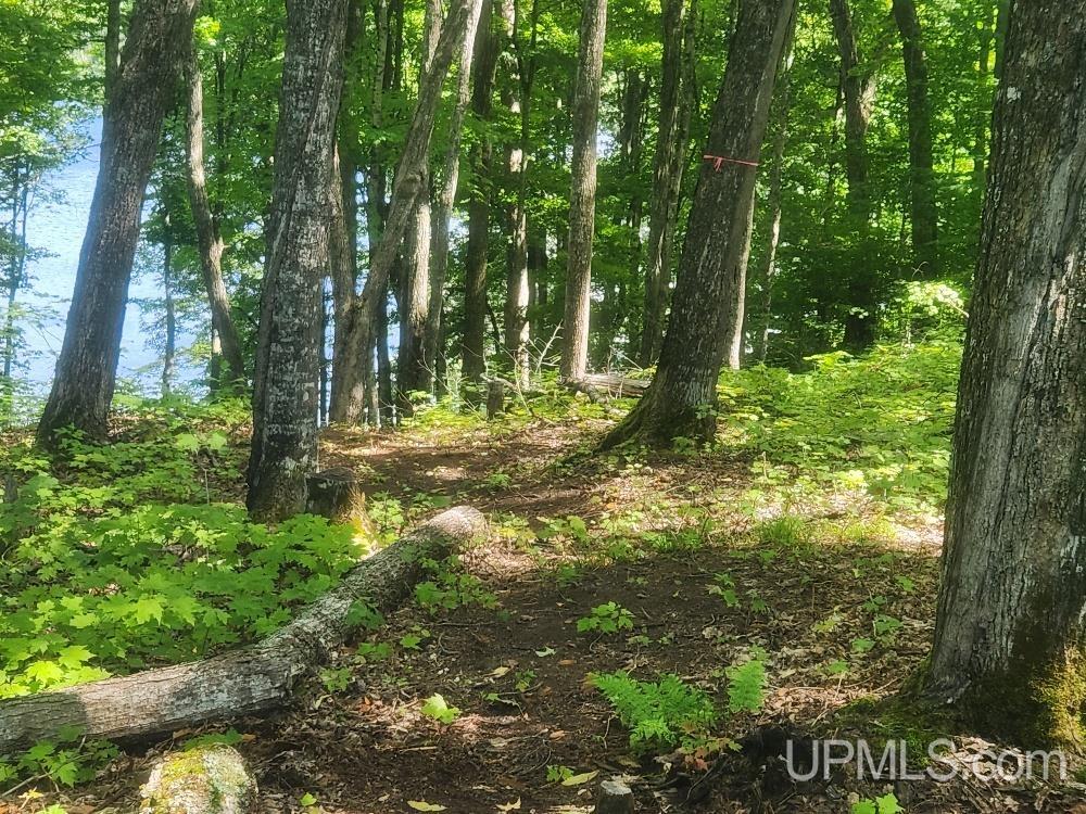 Tbd West Tamarack Lake Road, Unit LOT 5 Watersmeet, MI 49969 - Photo 20 of 66