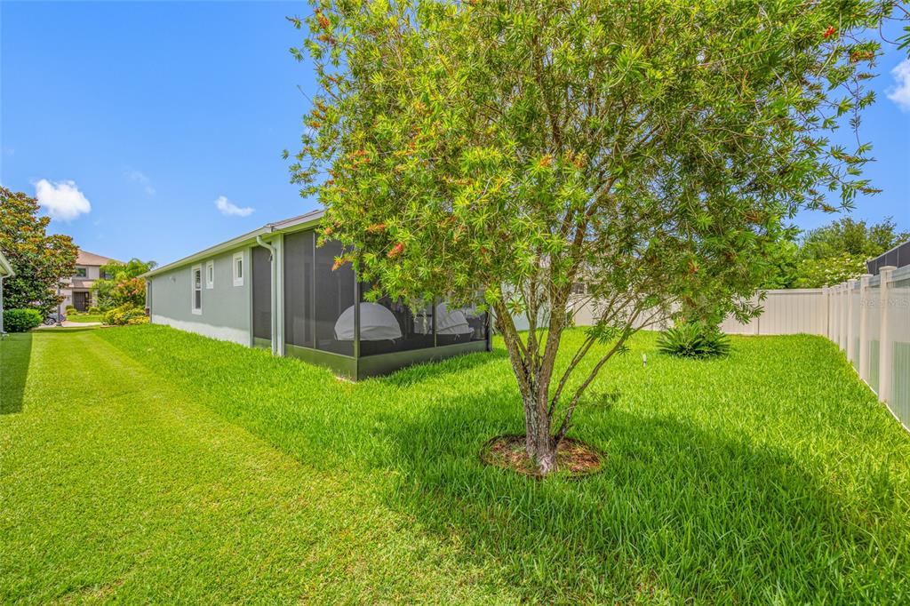 19382 Long Lake Ranch Boulevard Lutz, FL 33558 - Photo 34 of 42