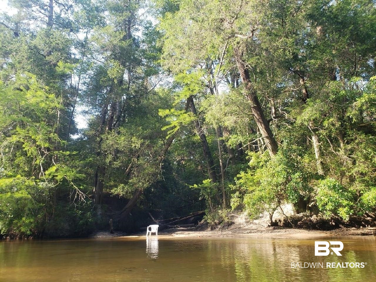 25400 Goat Cooper Road Robertsdale, AL 36567 - Photo 20 of 34 Styx River