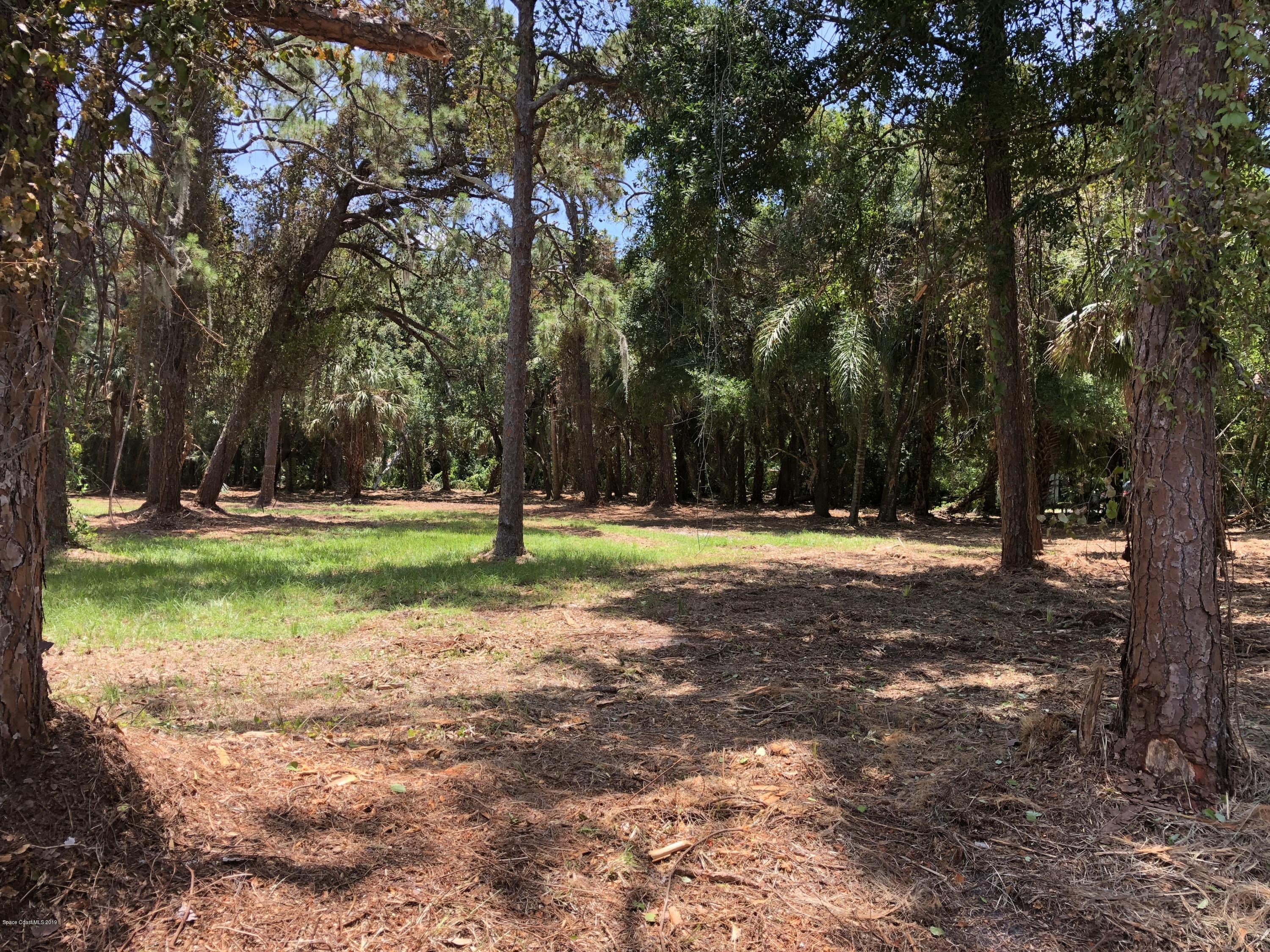 Xxx West Pine Road Melbourne, FL 32904 - Photo 1 of 10 Parcel B - 2