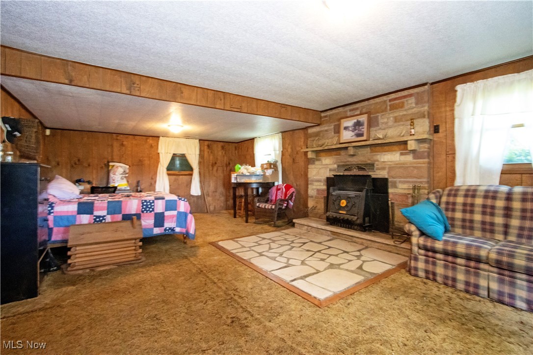1292 Cinder Road Southeast Carrollton, OH 44615 - Photo 40 of 42 Living area with wooden walls, carpet flooring, a wood stove, and a textured ceiling