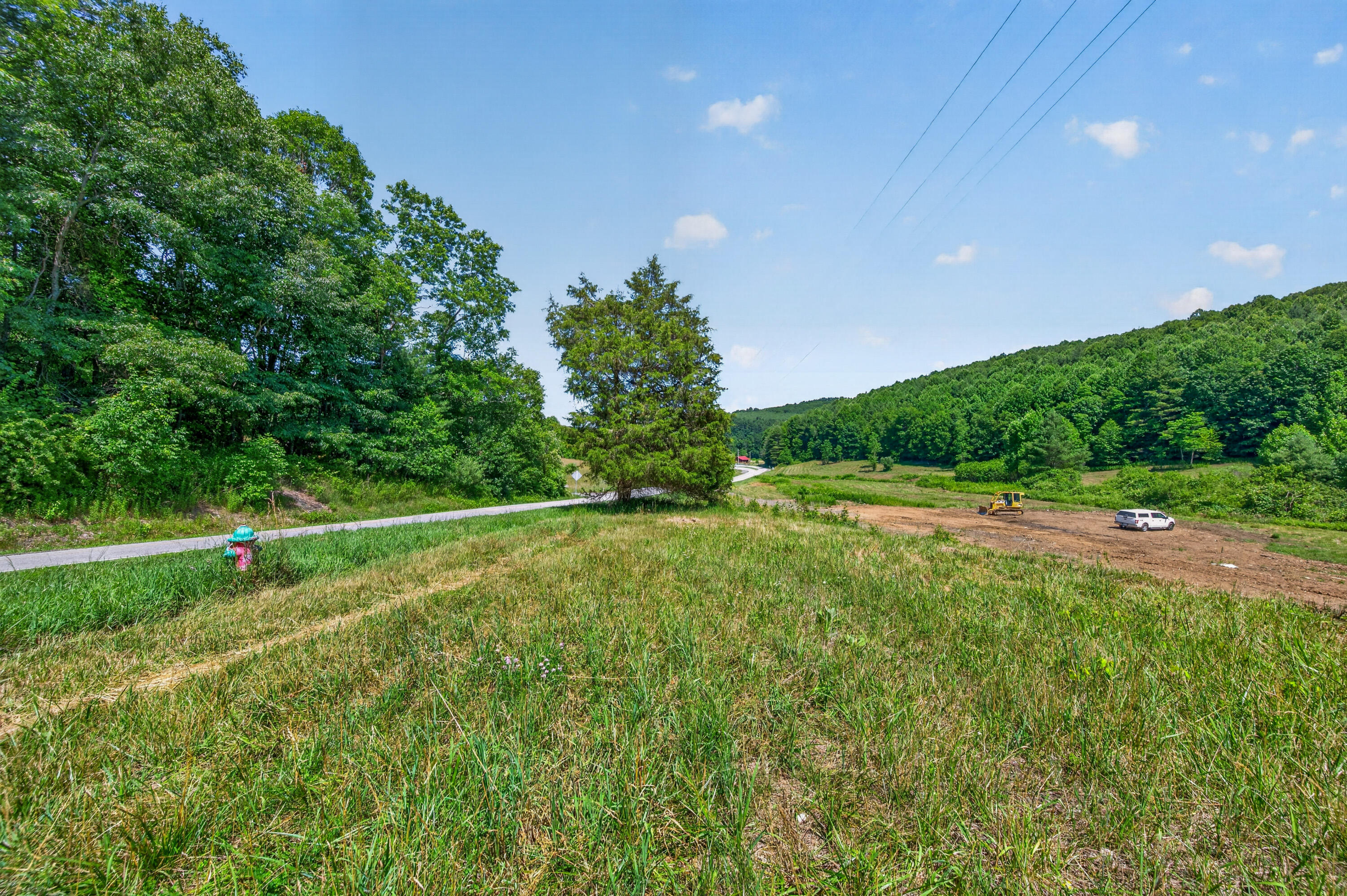 6196 Chances Creek Road Fancy Gap, VA 24328 - Photo 72 of 78 73