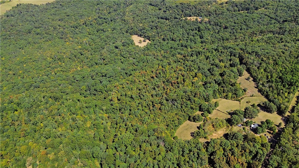24055 Freedom Road Chester, AR 72934 - Photo 17 of 27 Gallery Image 17