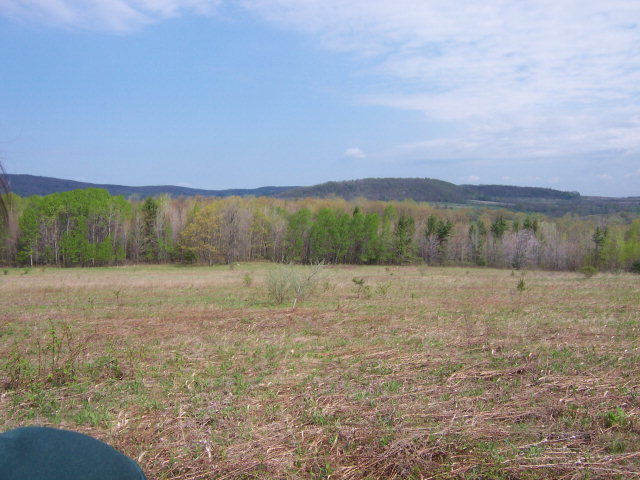 0 Puffer Road Cameron, NY 14819 - Photo 1 of 1