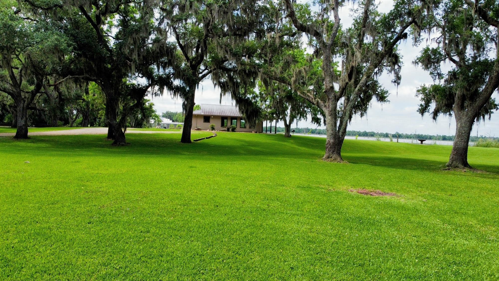 118 Pony Trail Angleton, TX 77515 - Photo 11 of 20 a view of field with trees