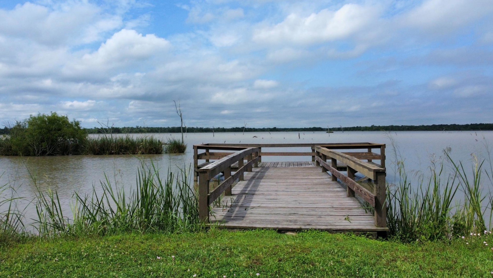 118 Pony Trail Angleton, TX 77515 - Photo 5 of 20 a view of a backyard with plants and lake view