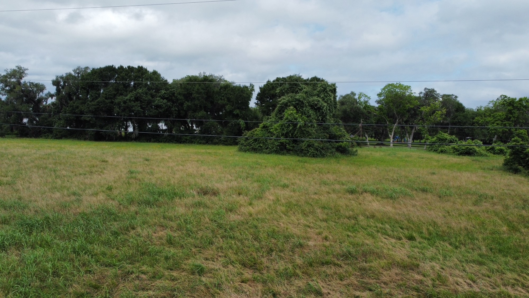 118 Pony Trail Angleton, TX 77515 - Photo 7 of 20 a view of a field of grass and trees