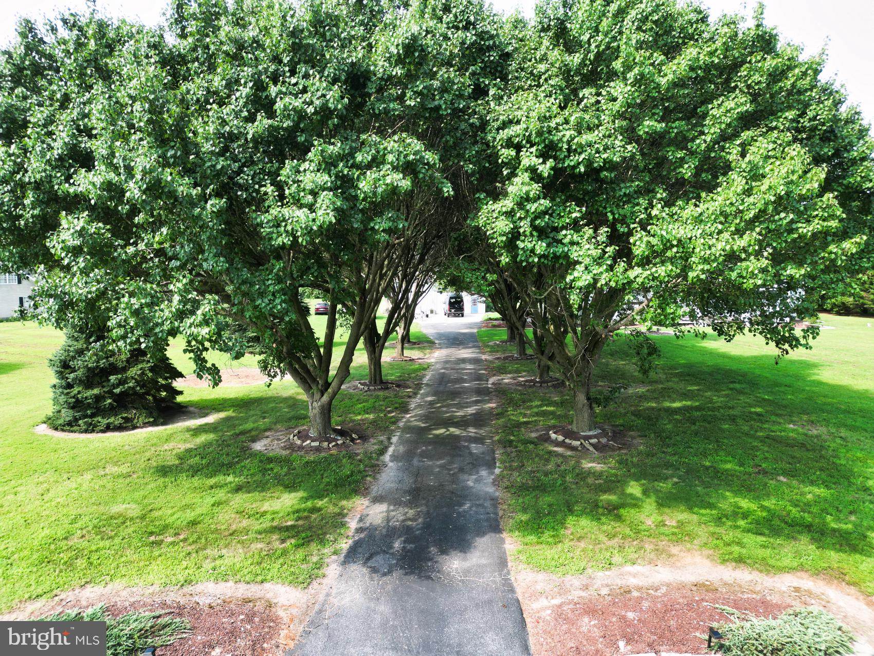 12549 Daye Girls Road Bishopville, MD 21813 - Photo 6 of 64