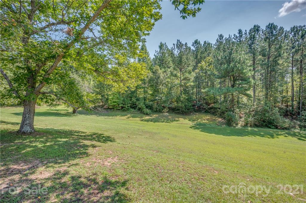 2330 Polk County Line Road Rutherfordton, NC 28139 - Photo 11 of 47 a view of a yard with a tree