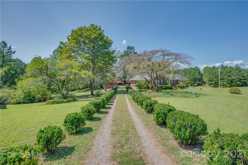 2330 Polk County Line Road Rutherfordton, NC 28139 - Photo 33 of 47 a view of a park with large trees