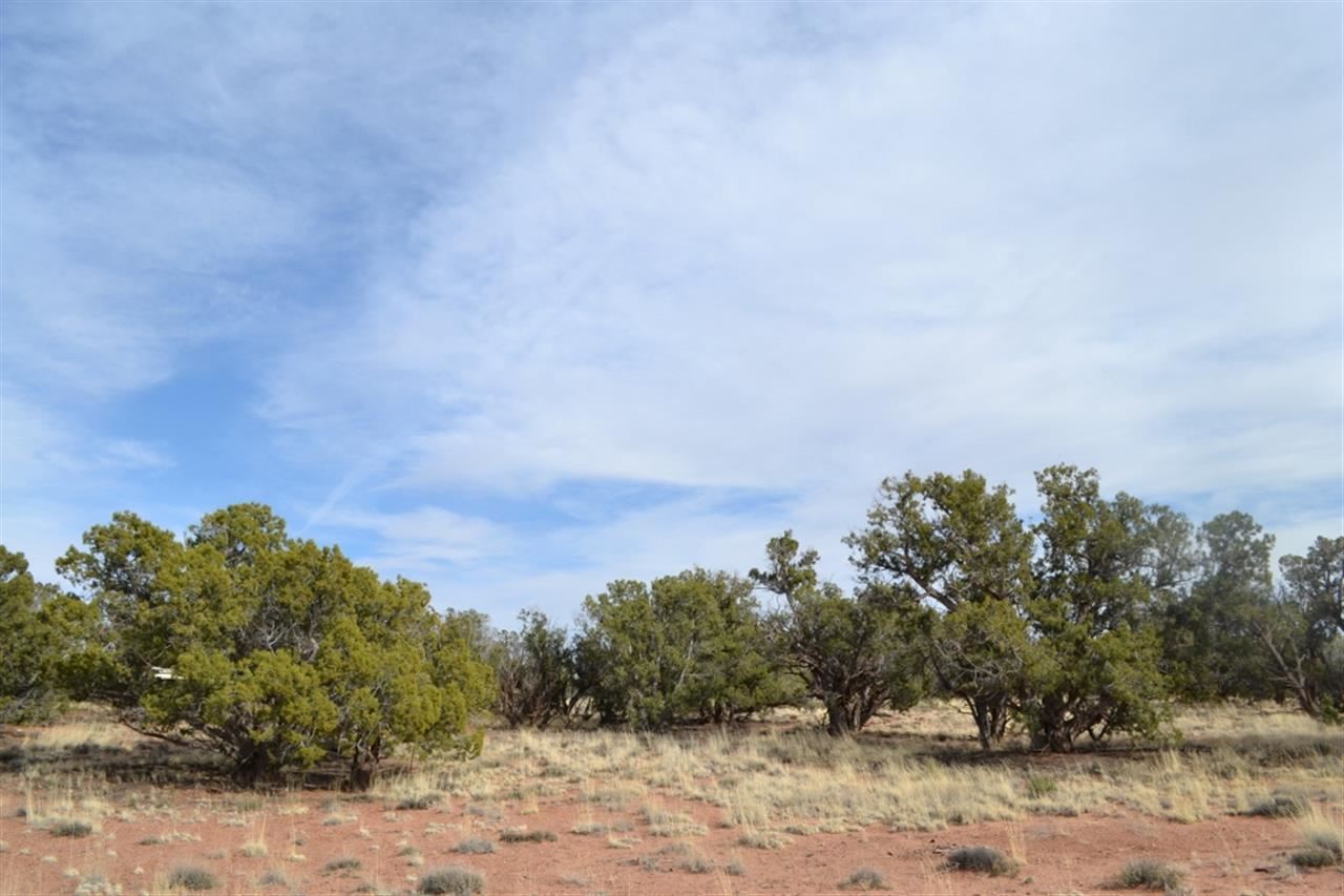 200 Old Hunt Road Snowflake, AZ 85937 - Photo 21 of 36