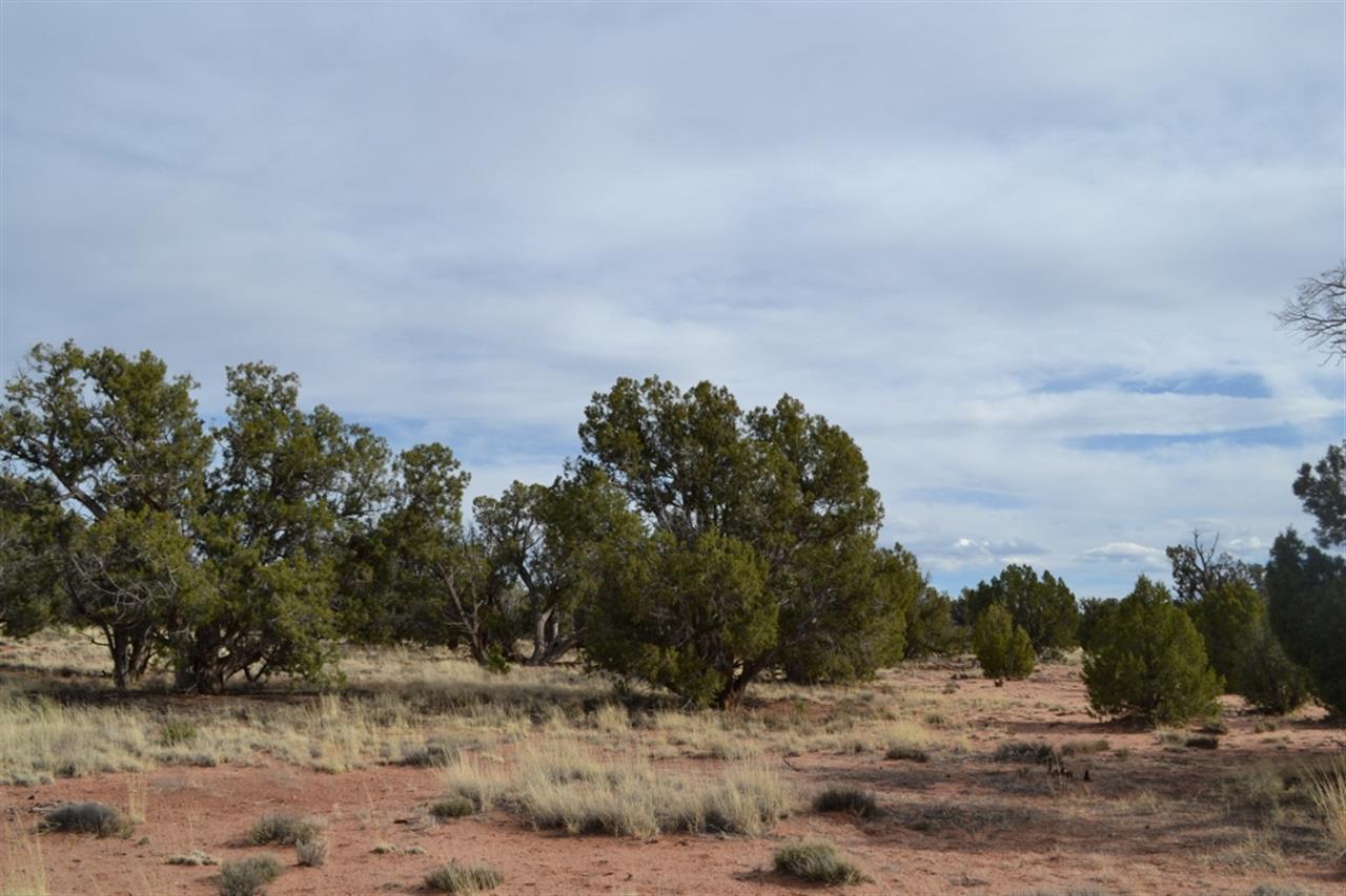 200 Old Hunt Road Snowflake, AZ 85937 - Photo 22 of 36