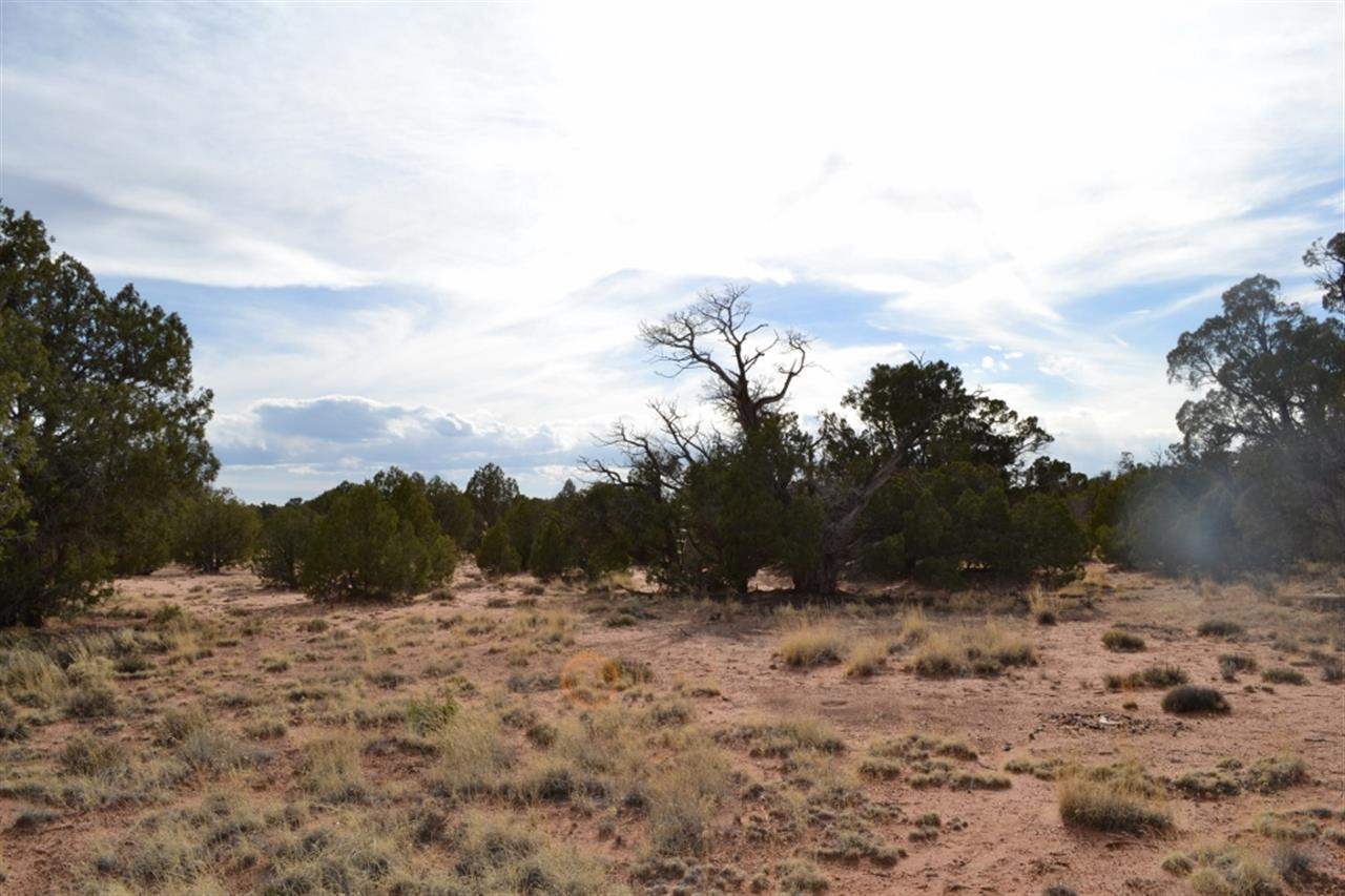 200 Old Hunt Road Snowflake, AZ 85937 - Photo 23 of 36
