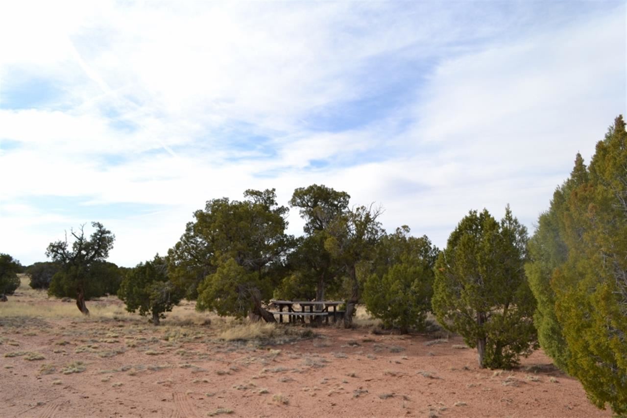 200 Old Hunt Road Snowflake, AZ 85937 - Photo 25 of 36
