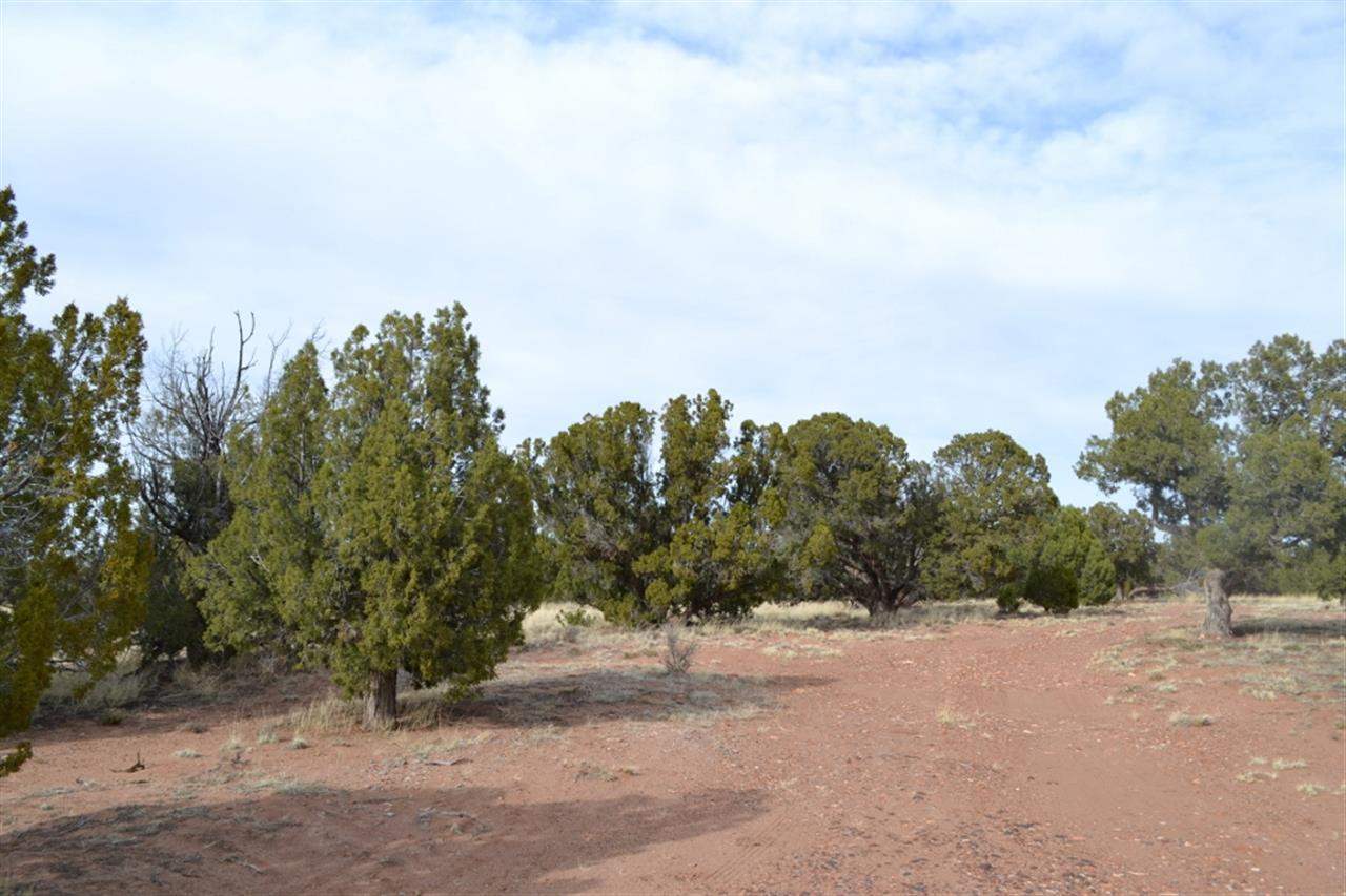 200 Old Hunt Road Snowflake, AZ 85937 - Photo 26 of 36