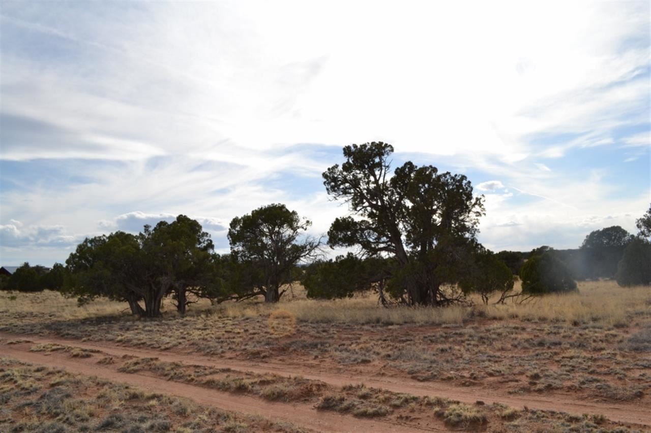 200 Old Hunt Road Snowflake, AZ 85937 - Photo 27 of 36